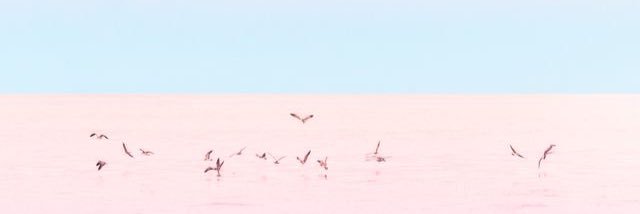 nook_chill's profile banner image