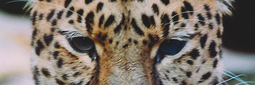 MarieeLVX's profile banner image