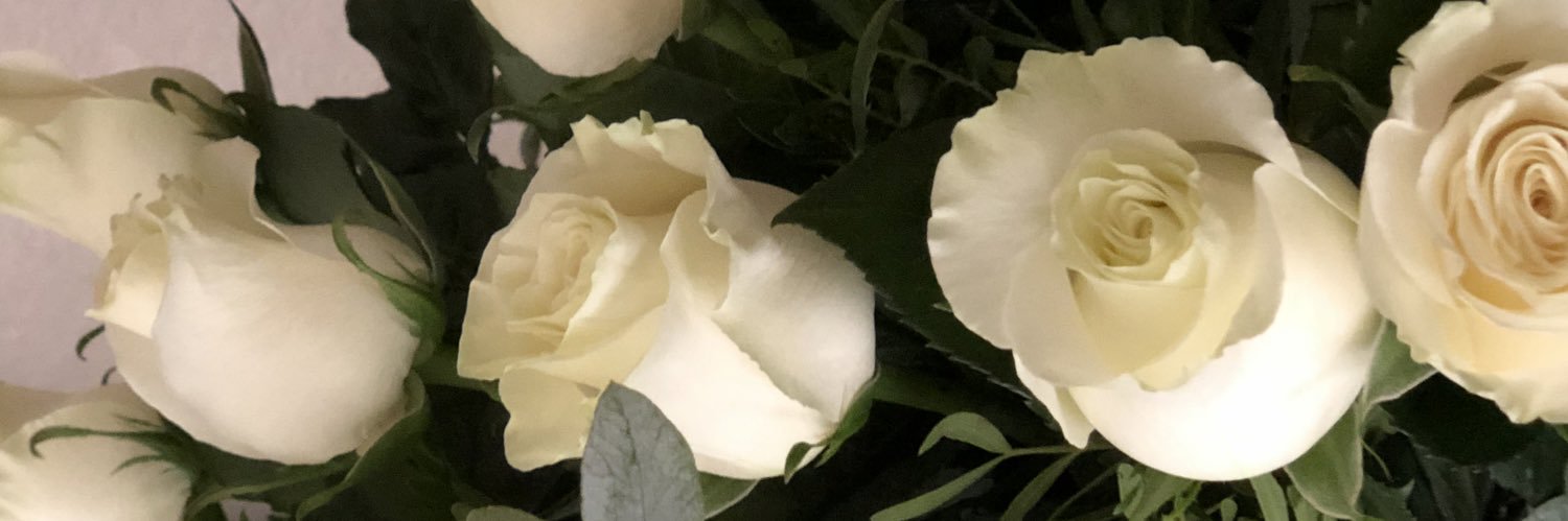 SilviaVigata's profile banner image