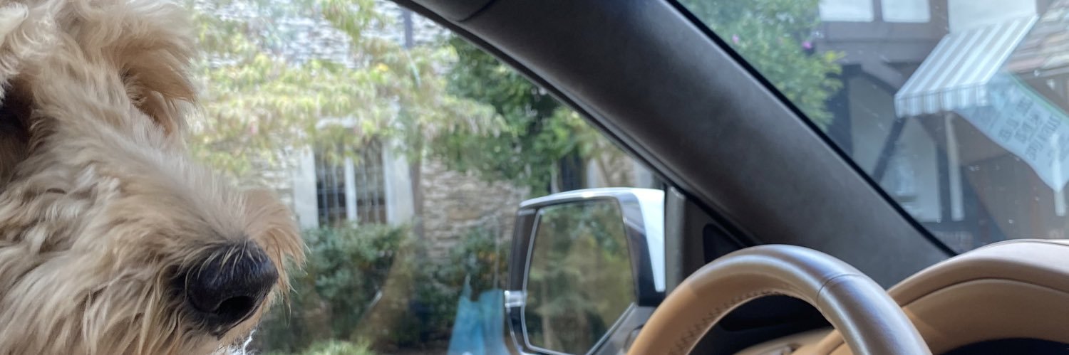 HeldrethTony's profile banner image