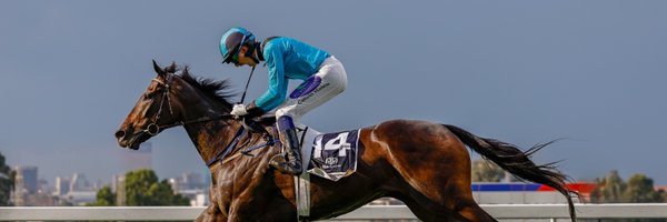 Thoroughbred Breeders of South Africa Profile Banner