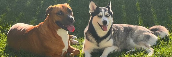 BrzozowskiRob Profile Banner