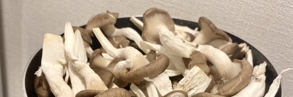 nomonomo99 Profile Banner