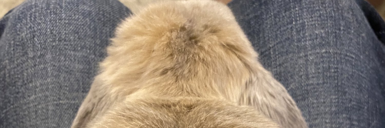 sicky⤴︎ ⤴︎基本L垢🐰👟🫧 banner