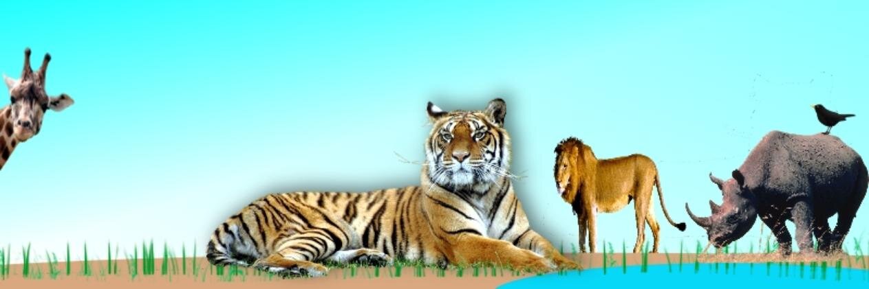 UKWildlifeParks's profile banner image