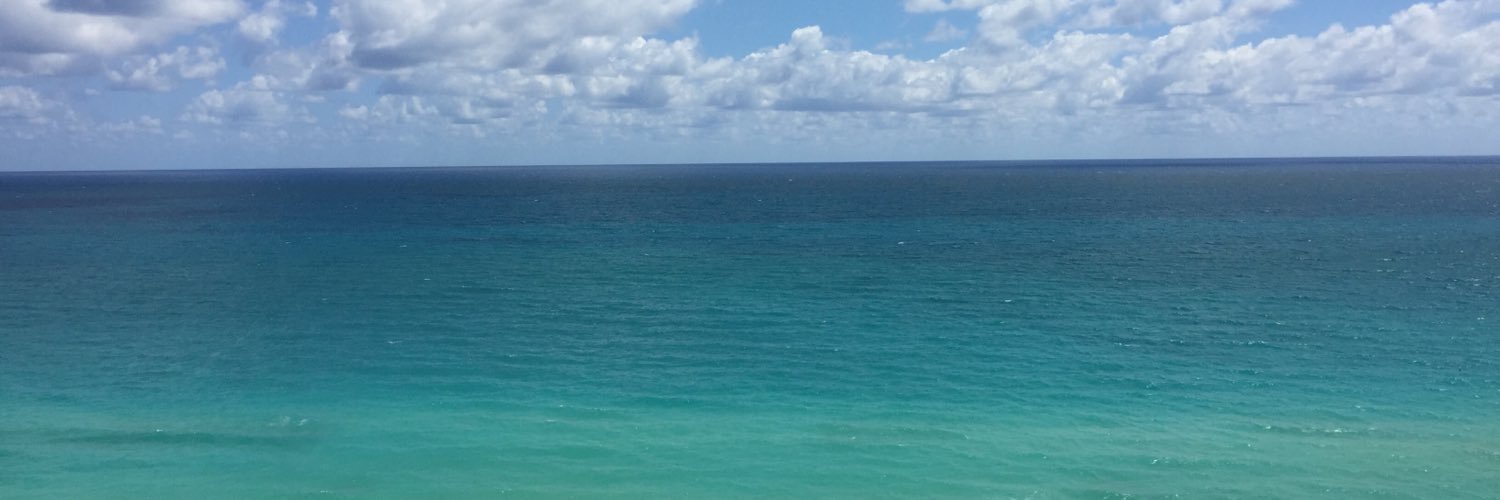naush_i's profile banner image