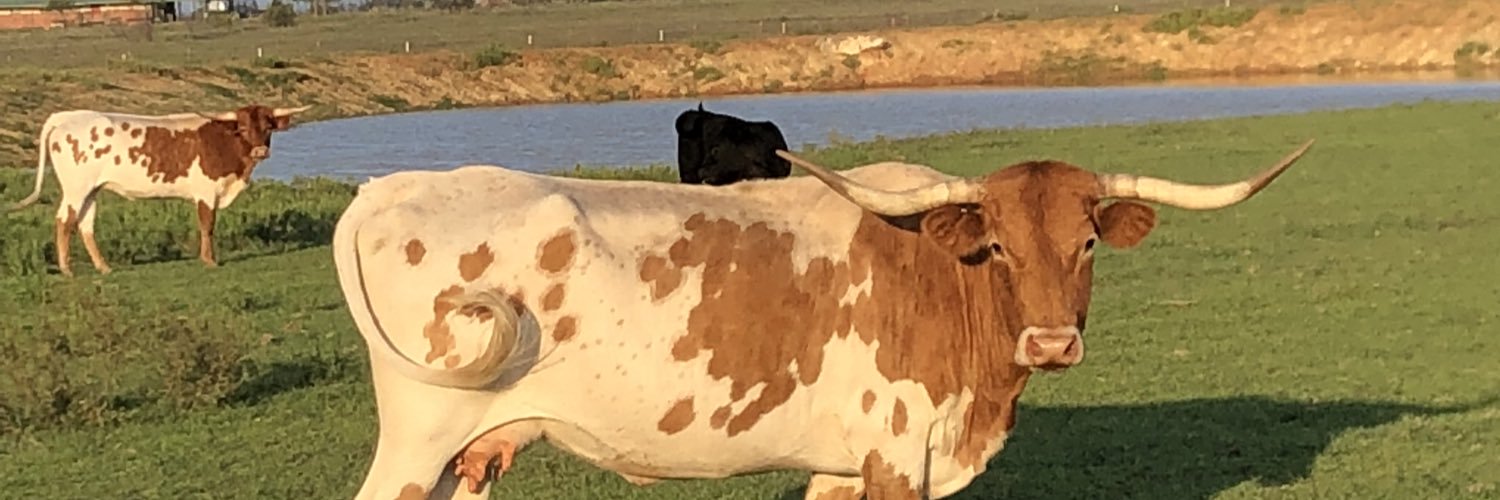 pbrooks__2240 banner