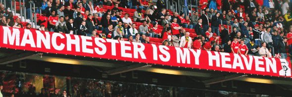 👓 Lou 👓 banner