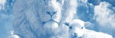 johnbosco_iyke's profile banner image