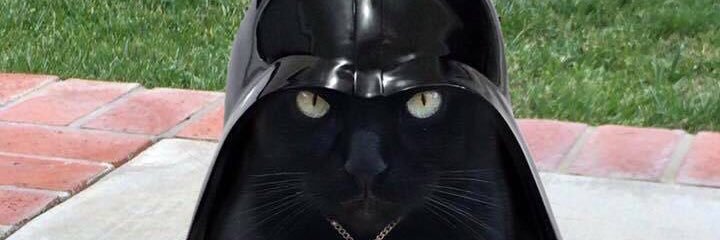 Patrizia Franchini banner