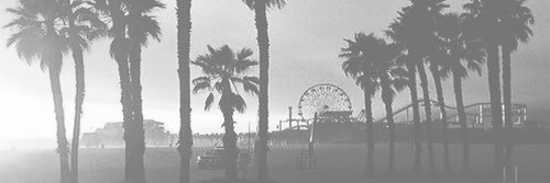 ♛ banner