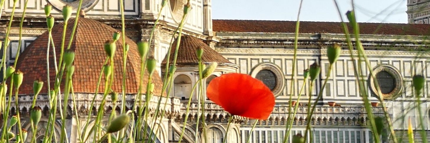 sarafrangini's profile banner image