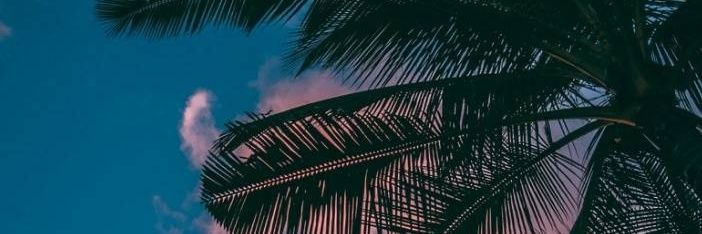 DMCP9's profile banner image