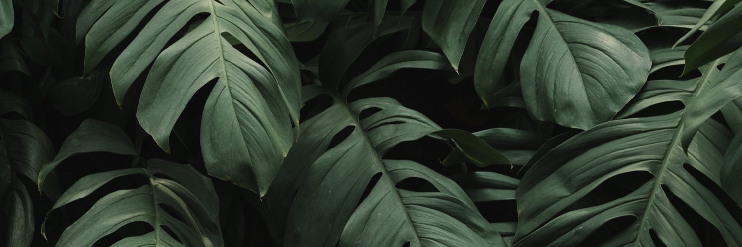 Jayme Fortune banner