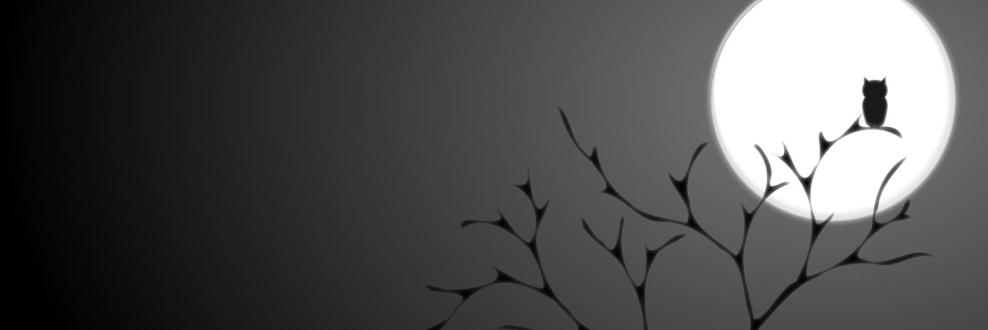 uhhsofi's profile banner image
