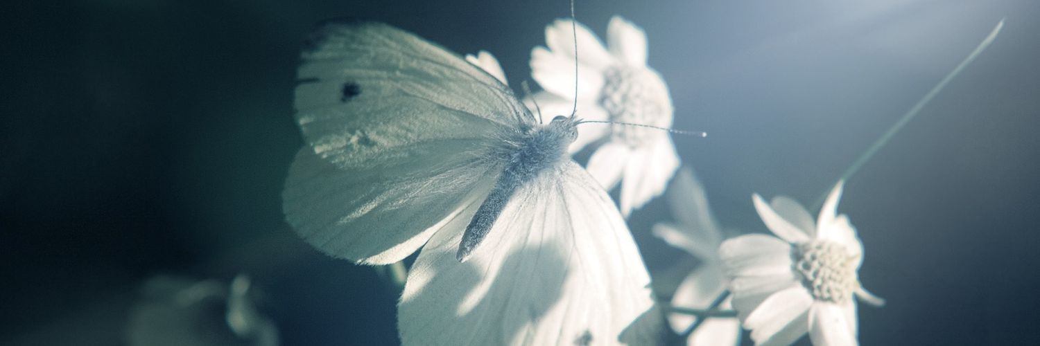 ymt9111's profile banner image
