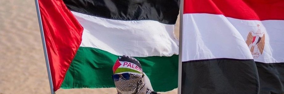 mmgallad's profile banner image