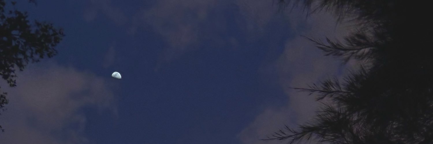 n_sofixx's profile banner image