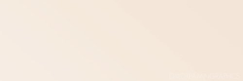cher (taylors version) banner