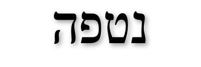 Netophath's profile banner image