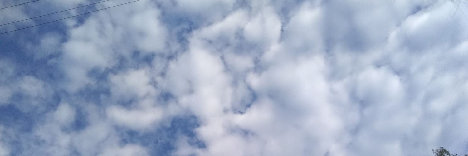 radkevich_s24's profile banner image