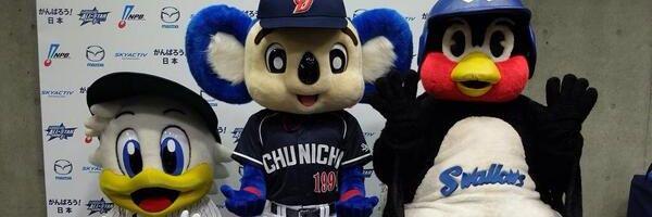 coconutsberry's profile banner image