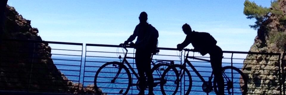 MMannironi's profile banner image