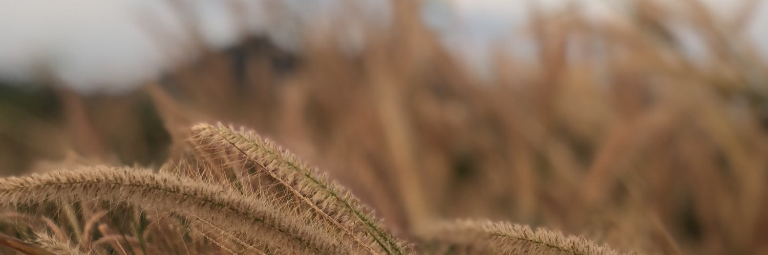 SimplyNoom's profile banner image