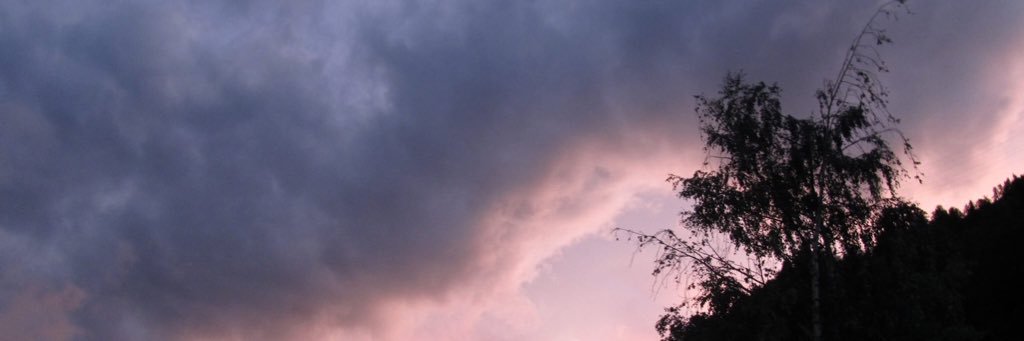 NicoleZecchini's profile banner image