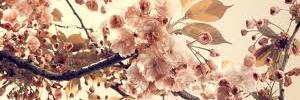 deTorrealba's profile banner image