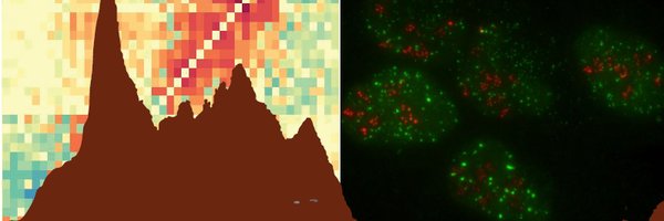 LabLegube Profile Banner