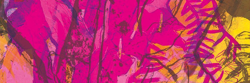 felipefessal's profile banner image