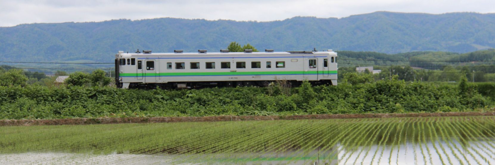 北のヨハネ banner