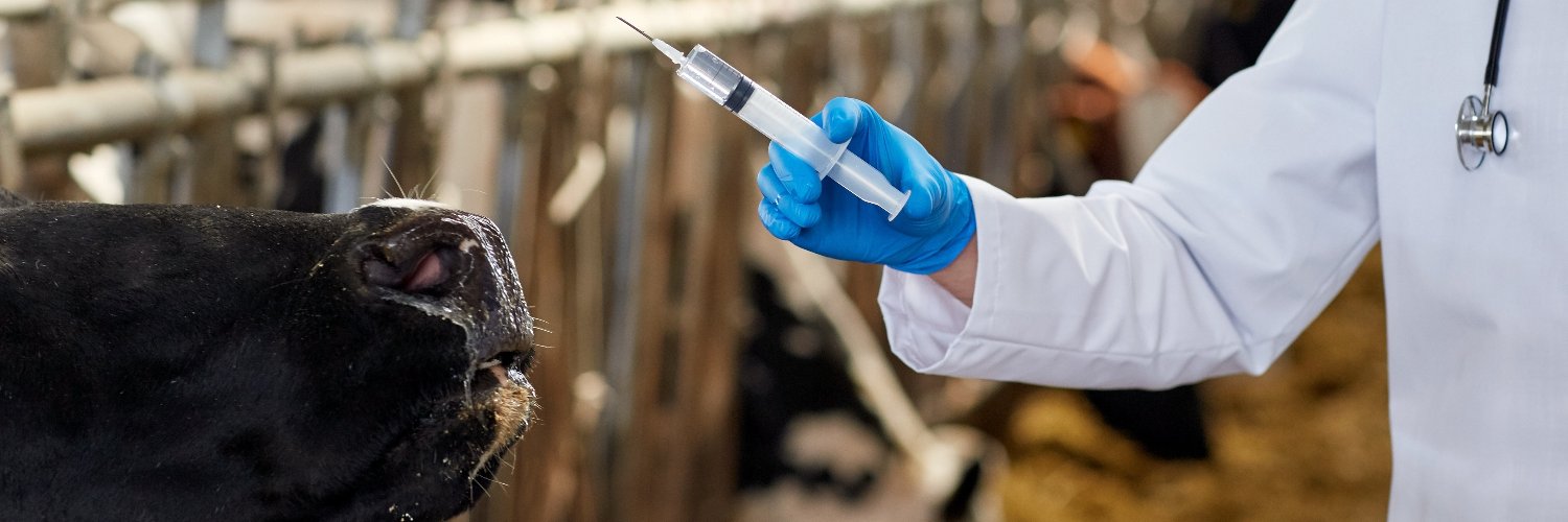 Government Vets UK banner