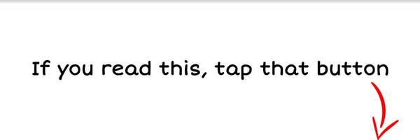 PyraNeko Profile Banner