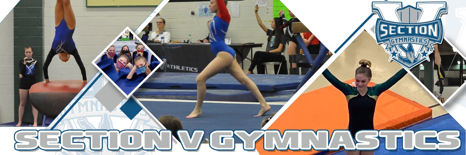 Section V Gymnastics banner
