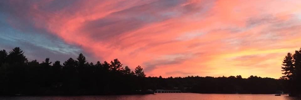 Elizabeth Adlam banner