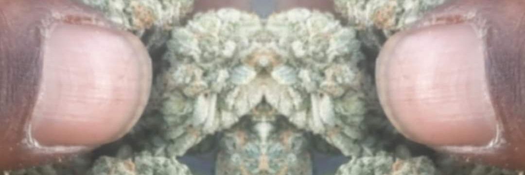 TyrrellHopkins's profile banner image