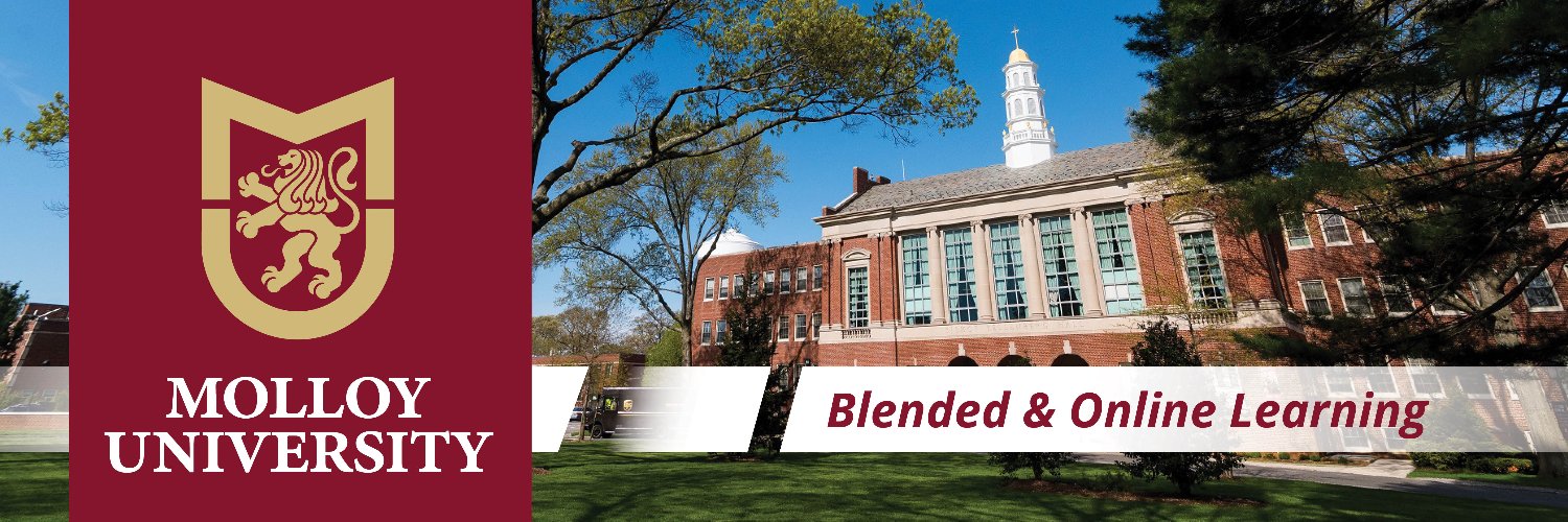 Molloy University Course Design banner