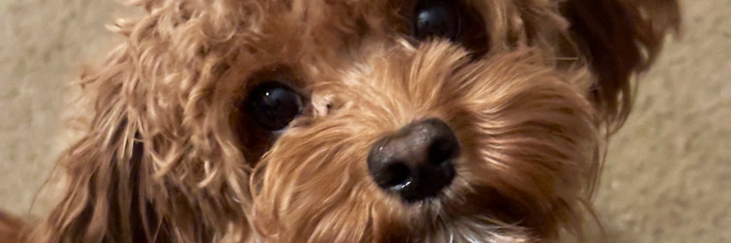 BorborPainB's profile banner image