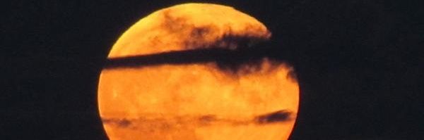 EstuSapiens's profile banner image