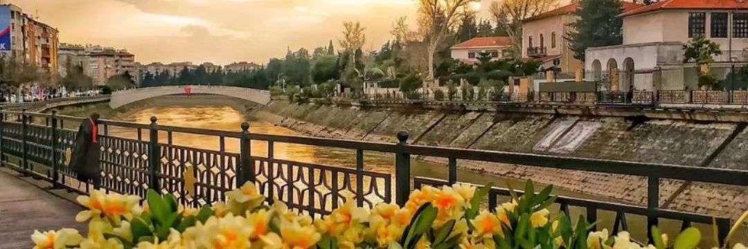 CevdetPancar's profile banner image
