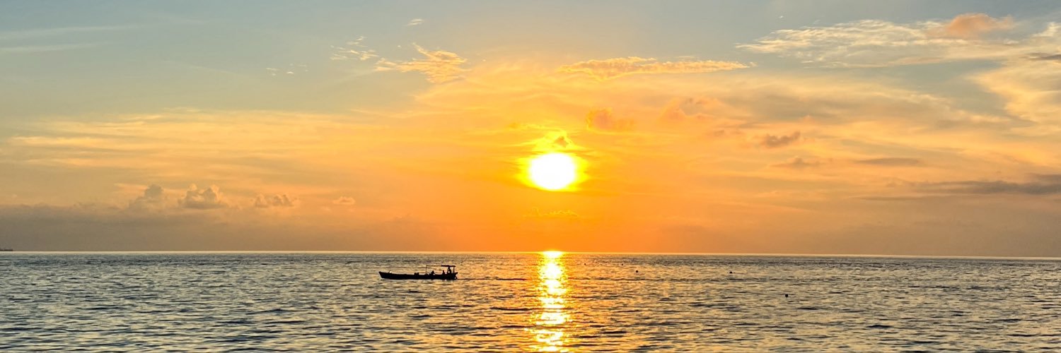 beebluubluu's profile banner image