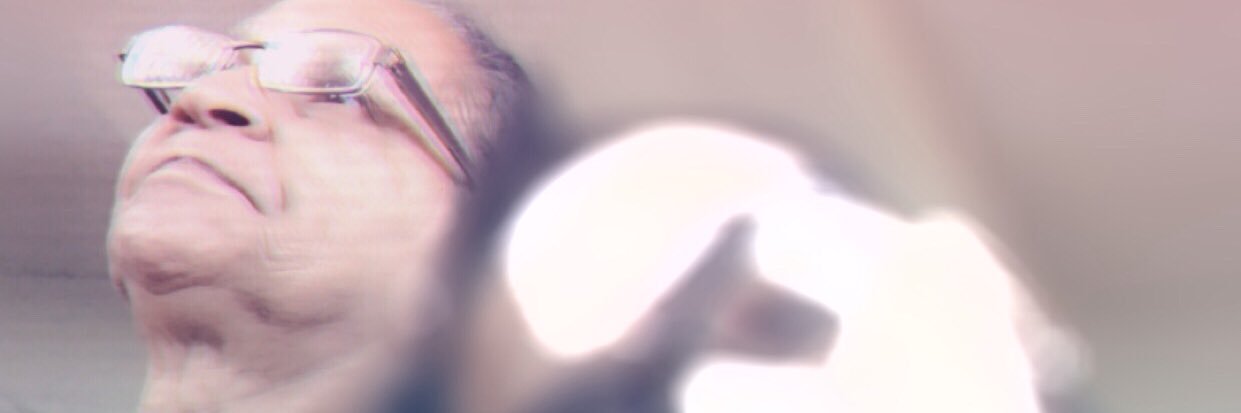 Janel banner