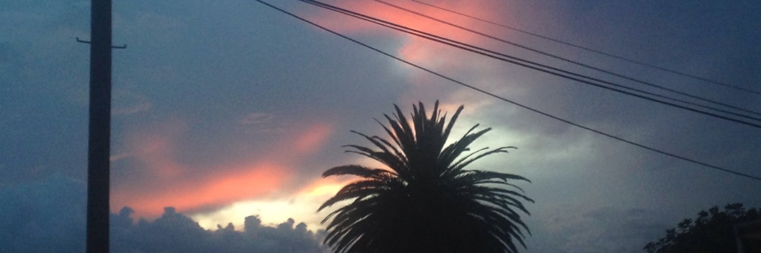 sofenxvi's profile banner image