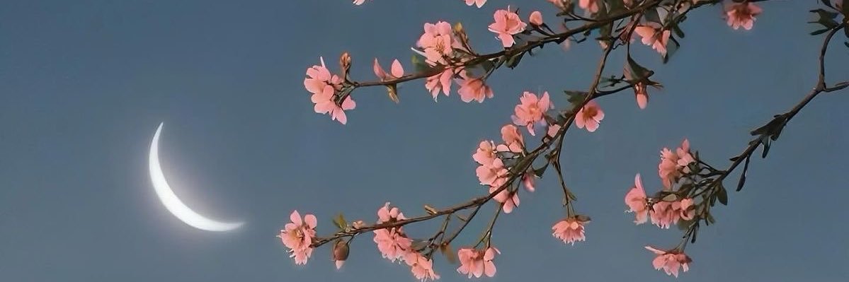 Rama 👩🏻‍⚕️🫁 banner