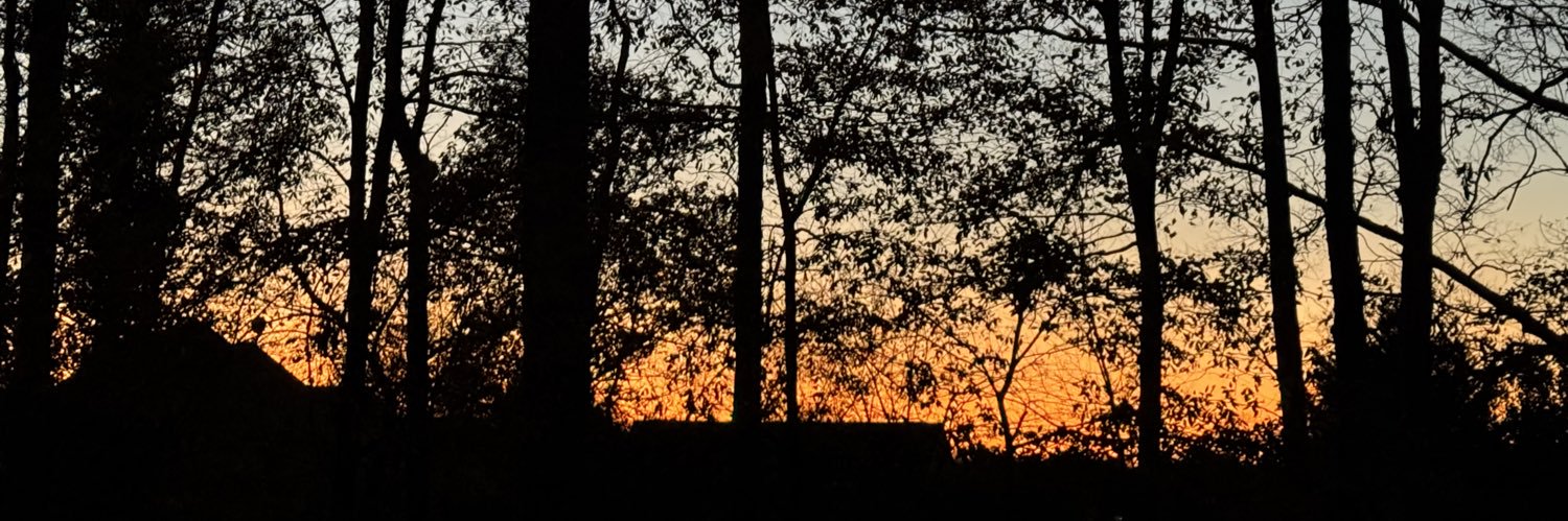 MartiWilliamsVA's profile banner image
