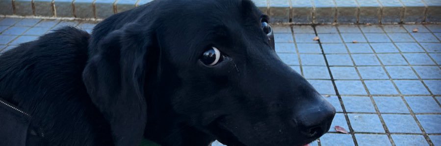 32good's profile banner image