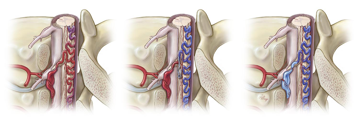 Lydia Gregg 🧠✍🏻 banner