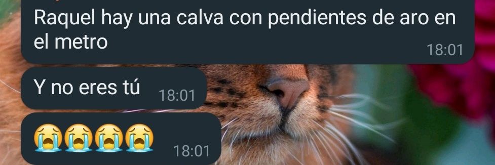 Raquel_Cobain's profile banner image